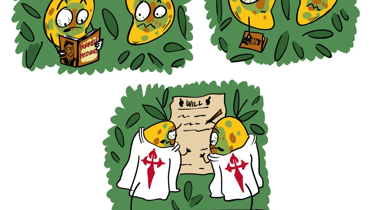 Climate change and the Alphonso mango | Green Humour by Rohan Chakravarty
